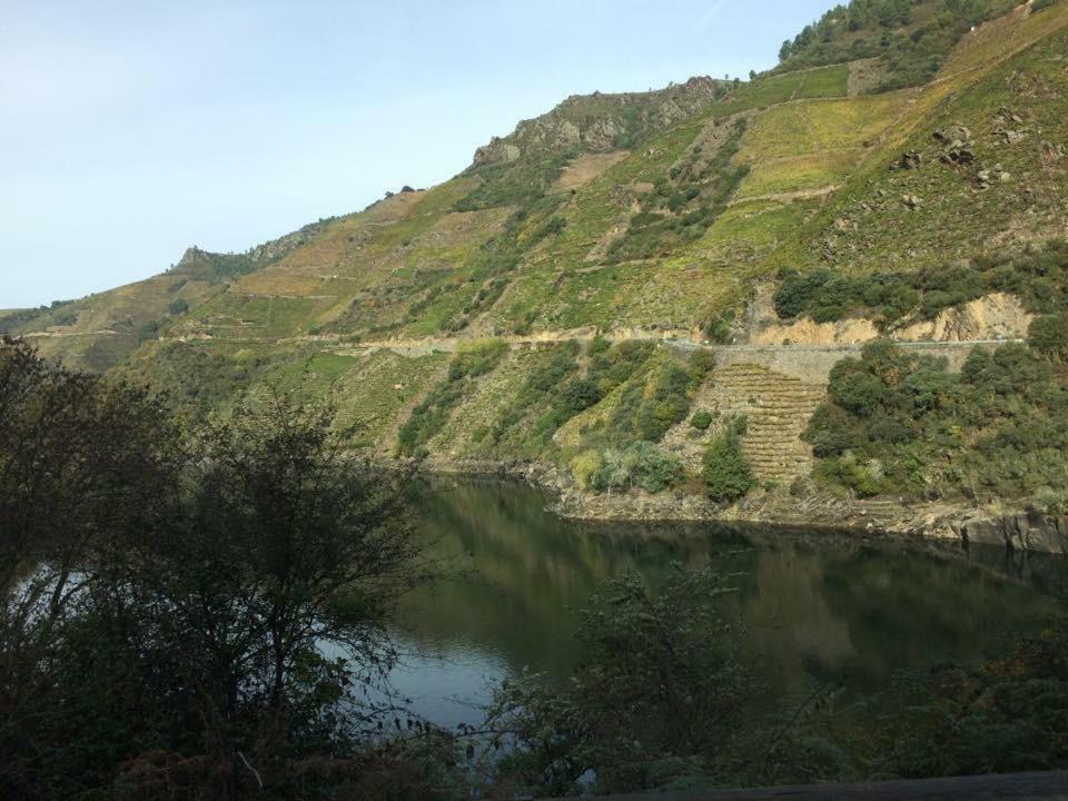 Acogedor Apartamento Ribeira Sacra モンフォルテ・デ・レモス エクステリア 写真