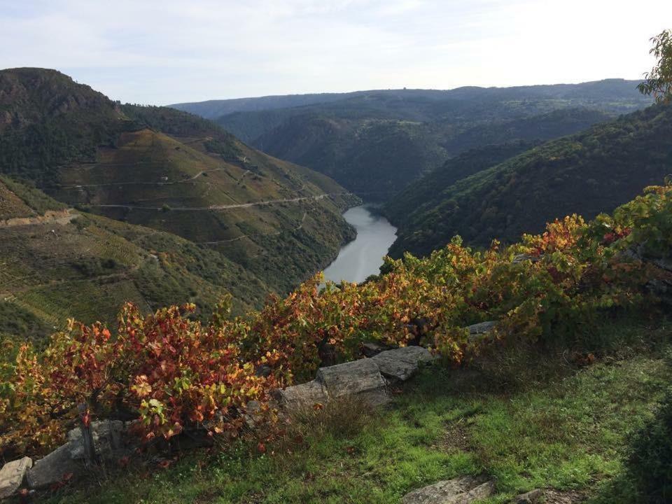 Acogedor Apartamento Ribeira Sacra モンフォルテ・デ・レモス エクステリア 写真